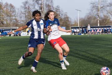 Bild 349 - wBJ Hamburger SV - Hertha BSC : Ergebnis: 2:1
